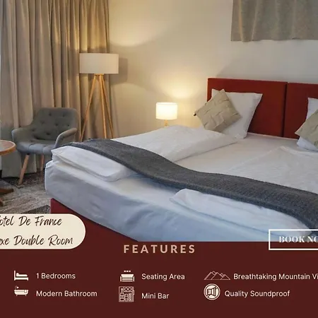 Thermalhotel De France 로이커바드