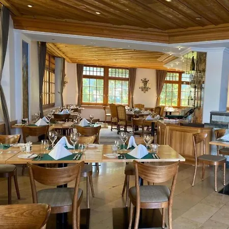 호텔 Thermalhotel De France