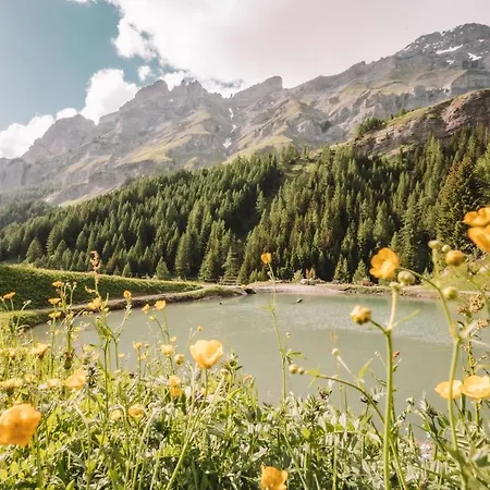 Thermalhotel De France 호텔 로이커바드