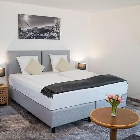 ホテル Thermalhotel De France 4*