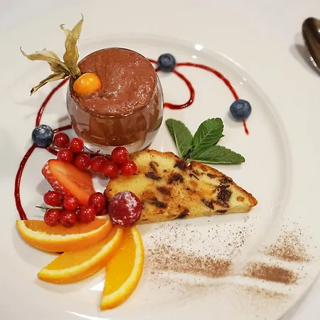 호텔 Thermalhotel De France