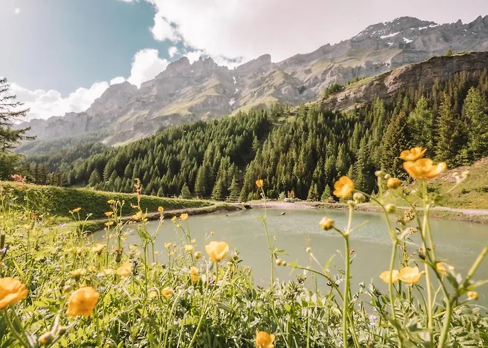 Thermalhotel De France Ξενοδοχείο Leukerbad